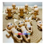 نوزاد باربی وارداتی